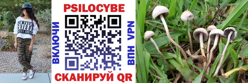 Псилоцибиновые грибы GOLDEN TEACHER  Нефтегорск 